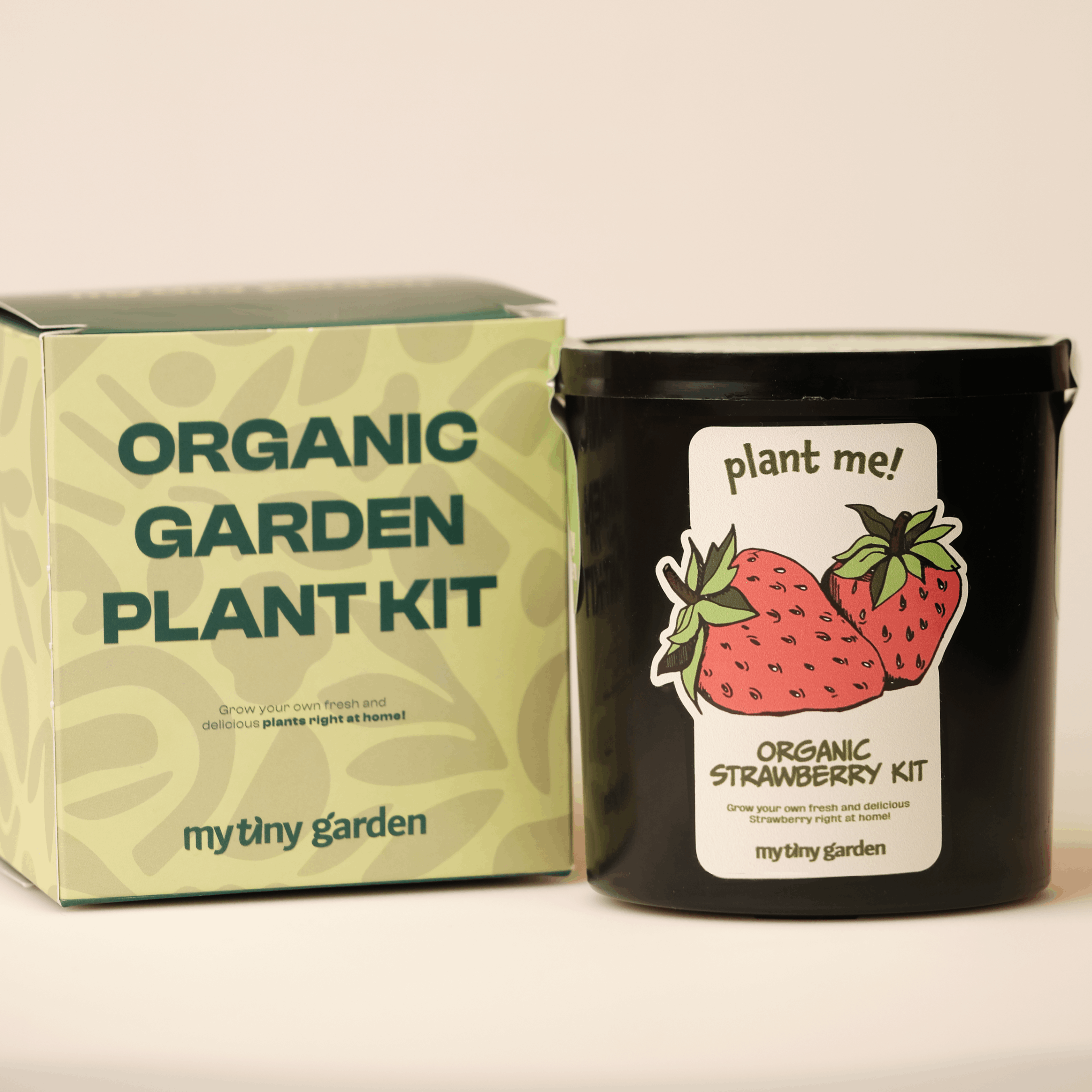 Kit Fragole 2