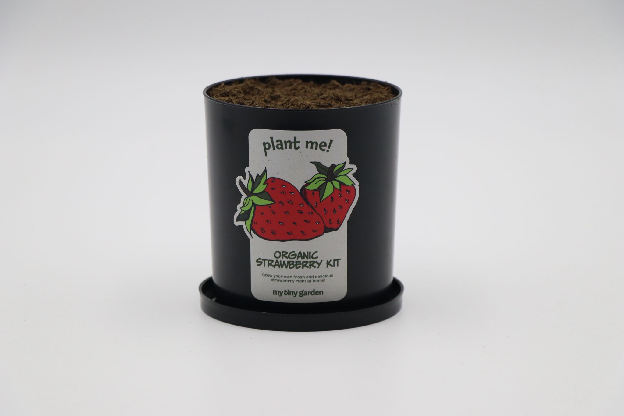Kit Fragole 4