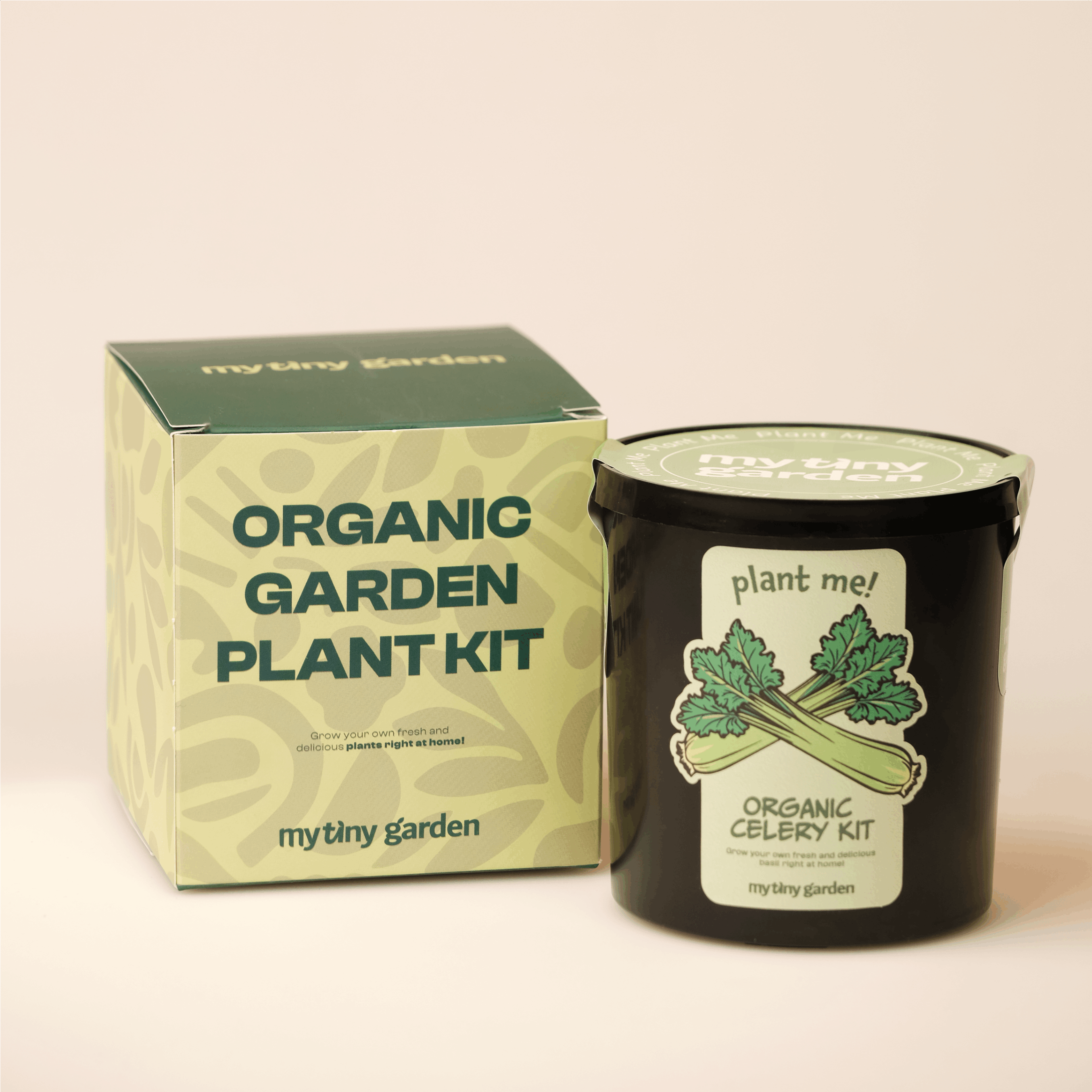 Kit Sedano 2