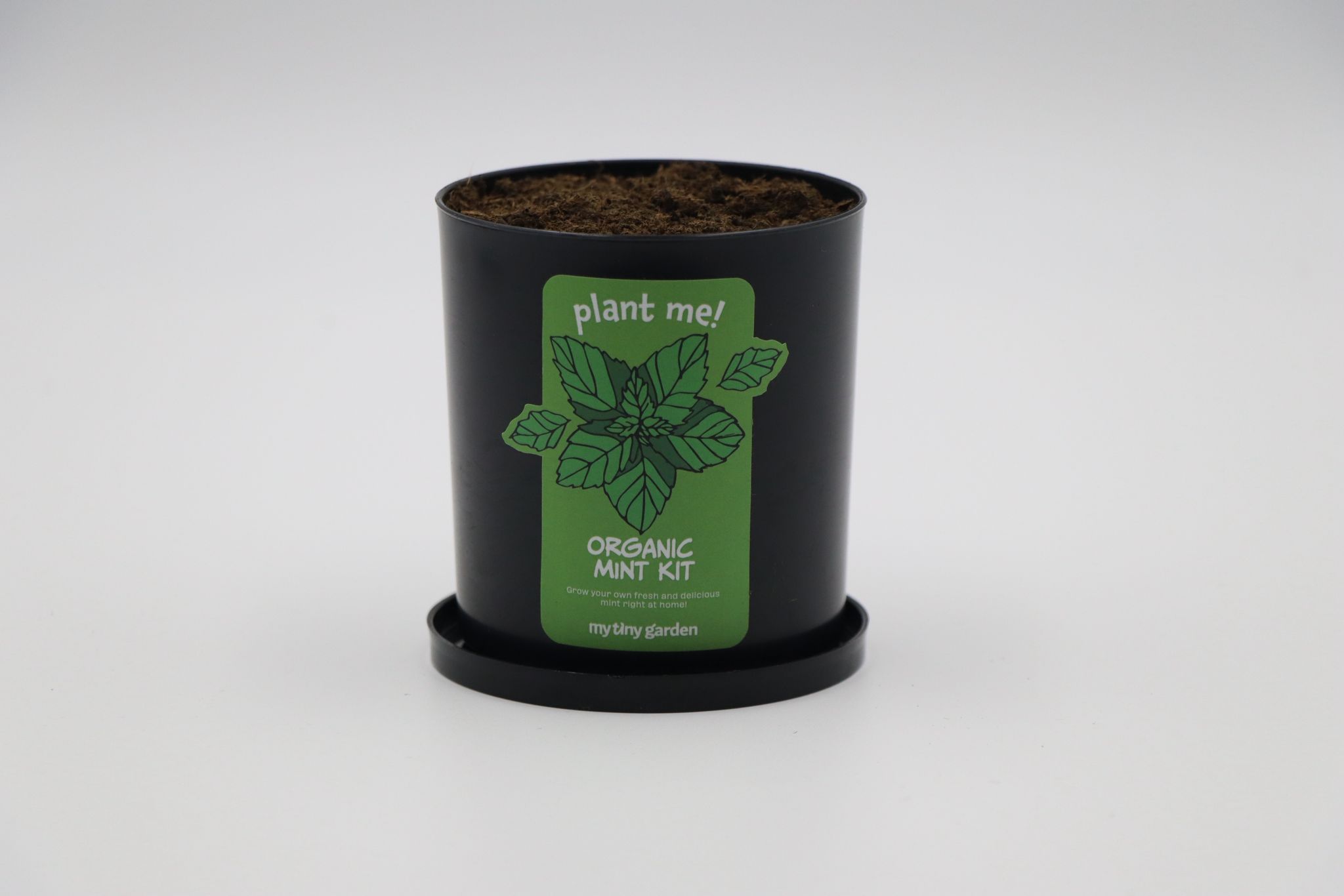 Minze Kit 4