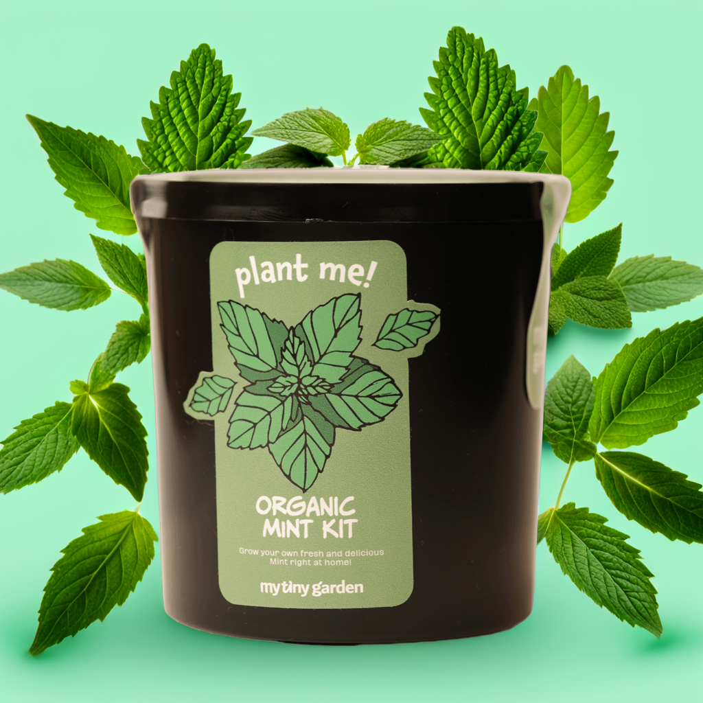 Toplantı Arası Ferahlık