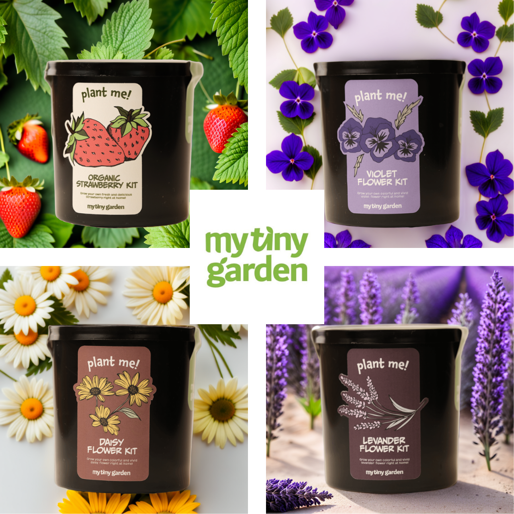 Fête dans le Mini Jardin — Cadeau d'Anniversaire