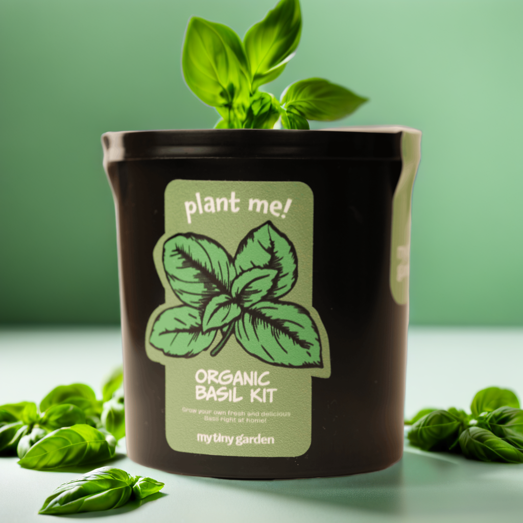 İlk Bitkimi Yetiştiriyorum