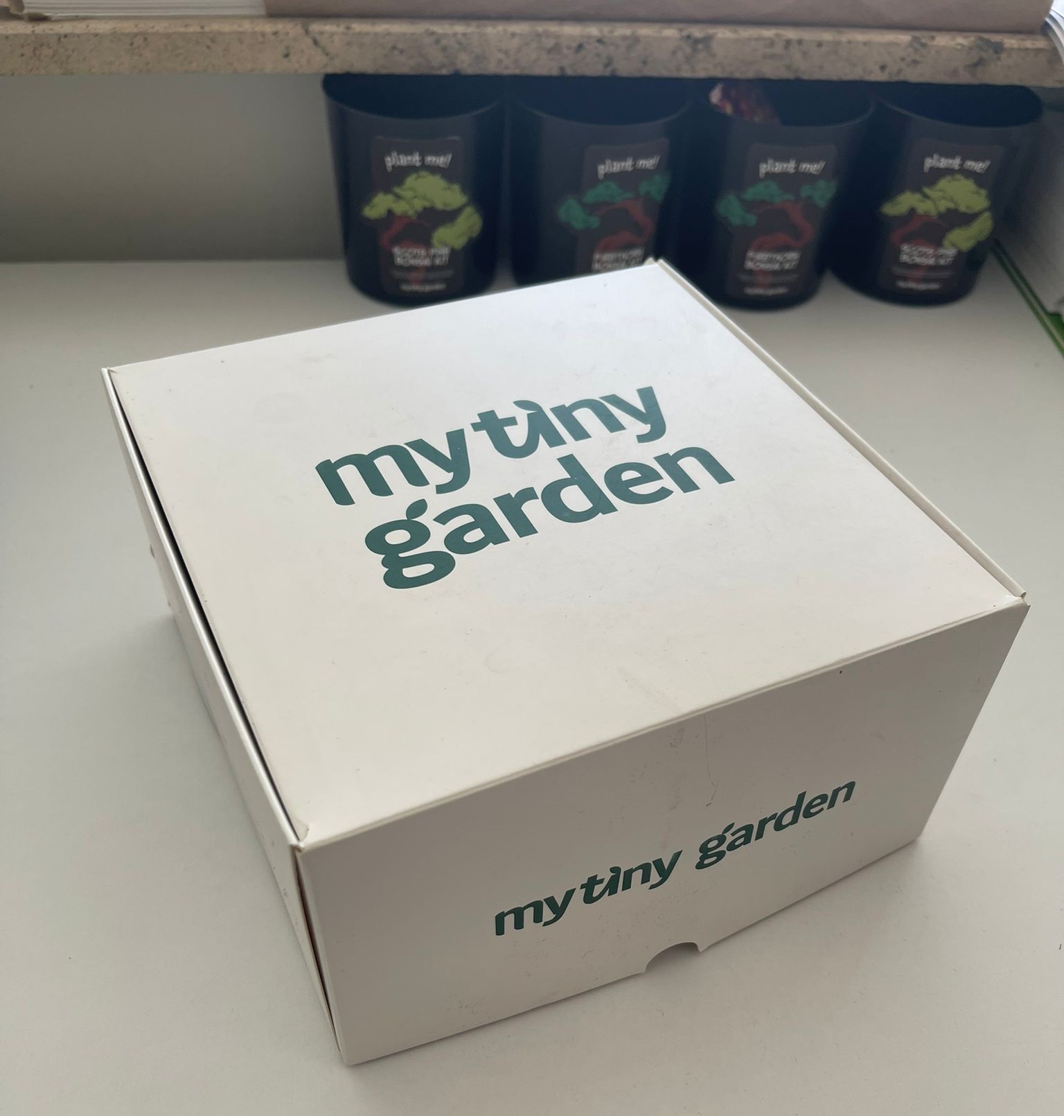 İlk Bitkimi Yetiştiriyorum