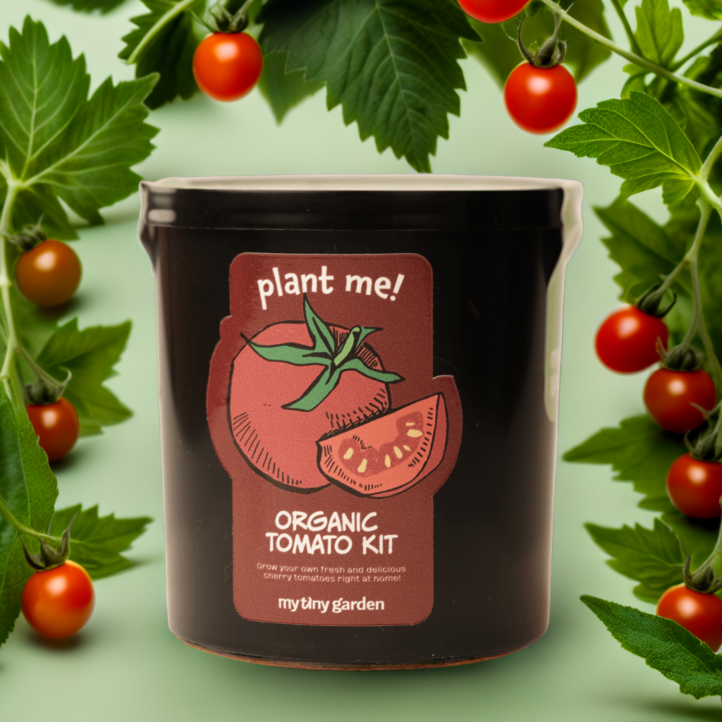 İlk Bitkimi Yetiştiriyorum