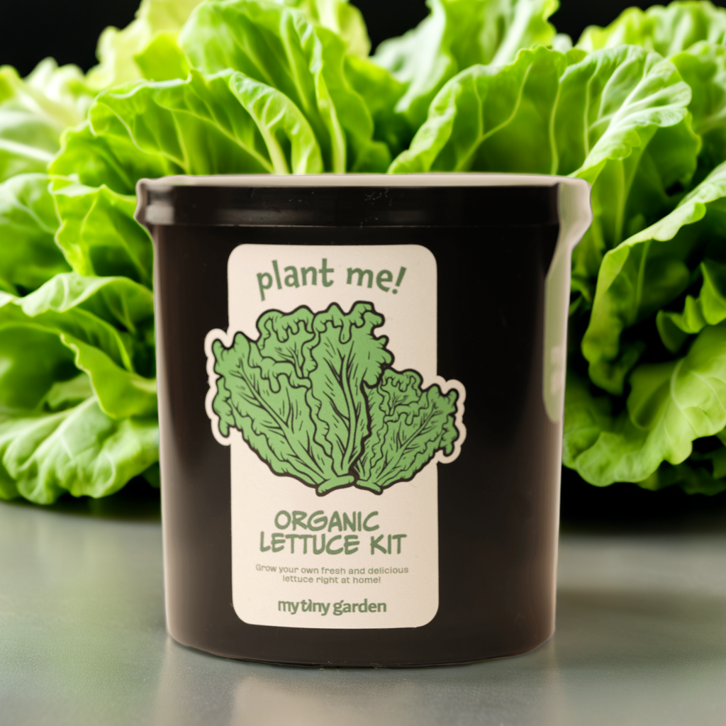 İlk Bitkimi Yetiştiriyorum