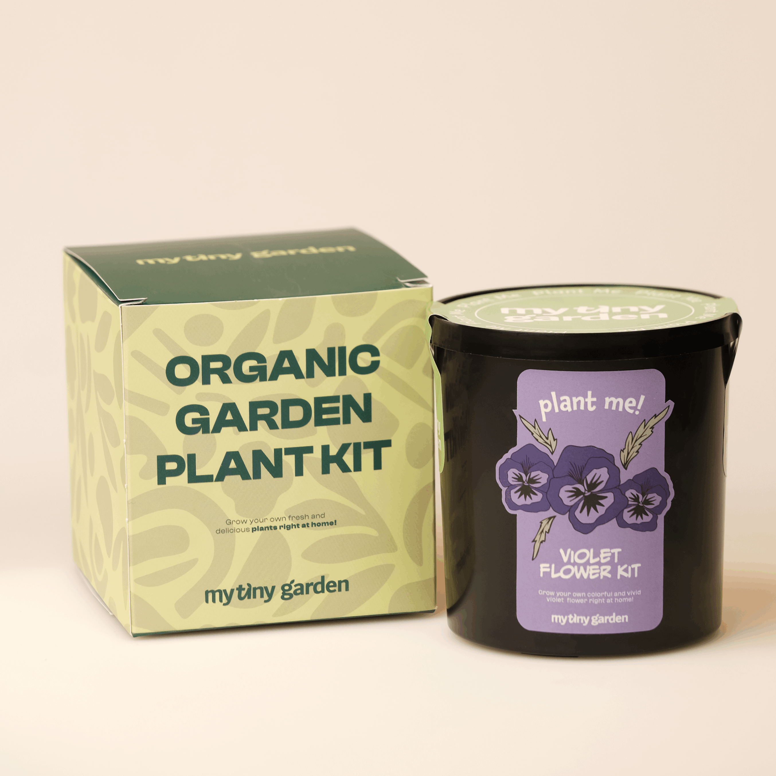 Violet Growing Kit 2