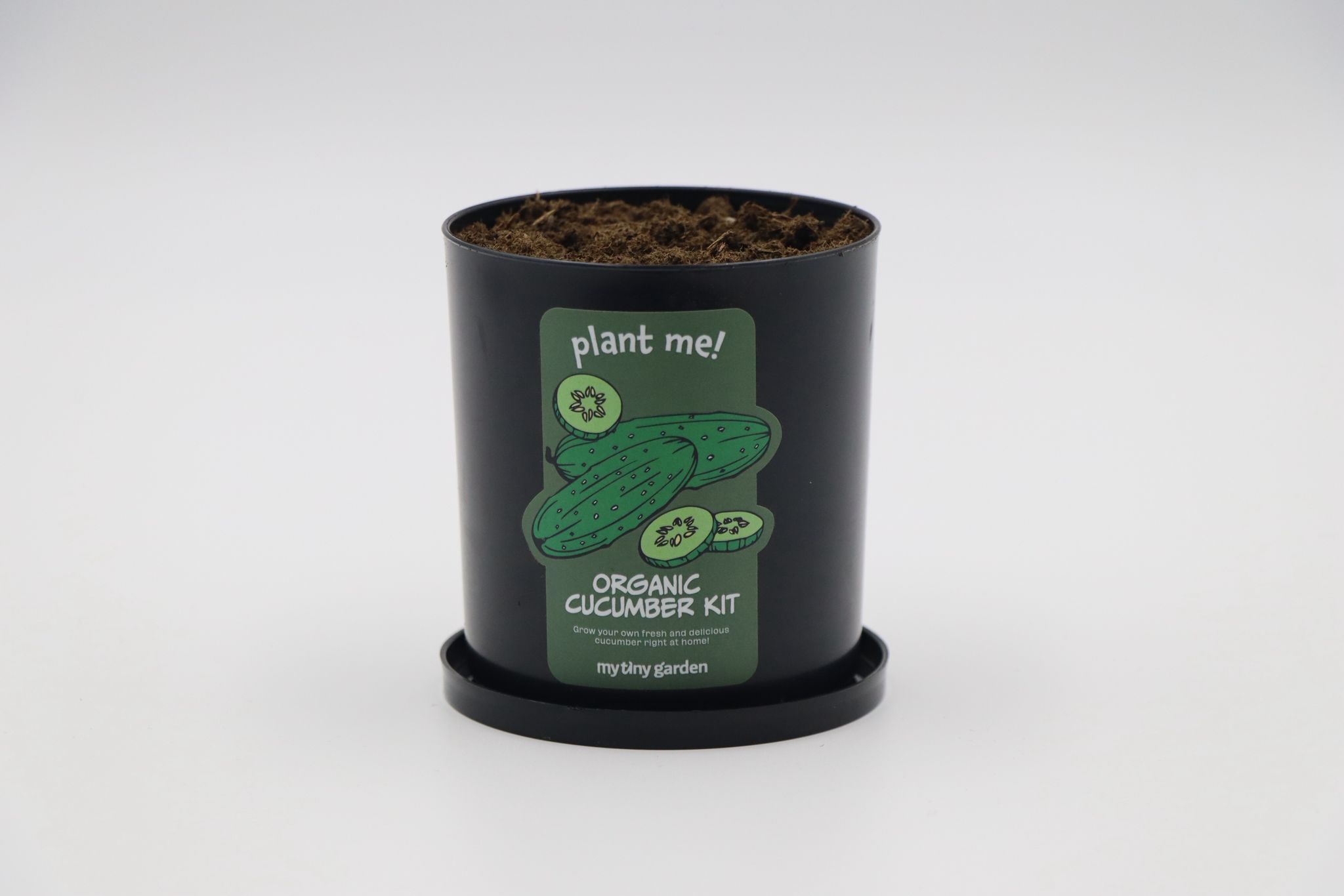 Cucumber Growing Kit 4
