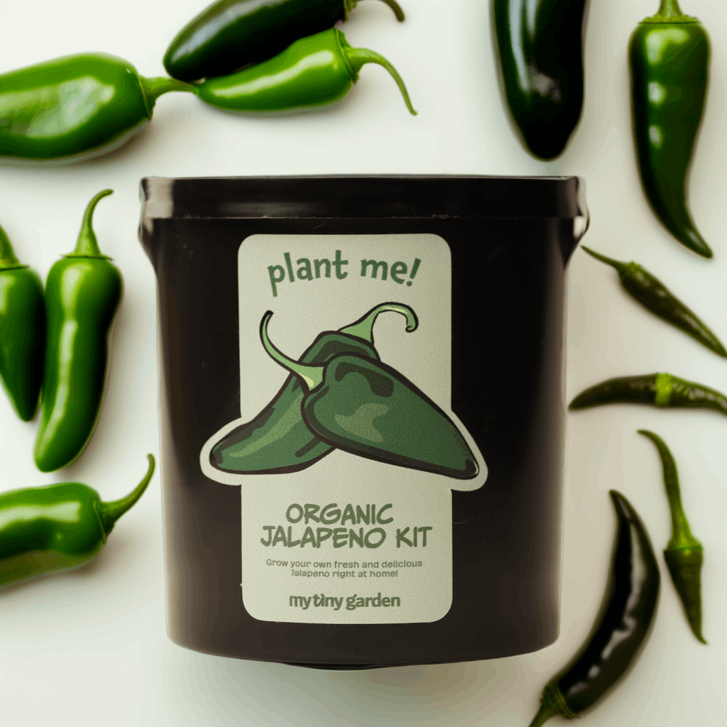 Jalapeno Biberi Kiti