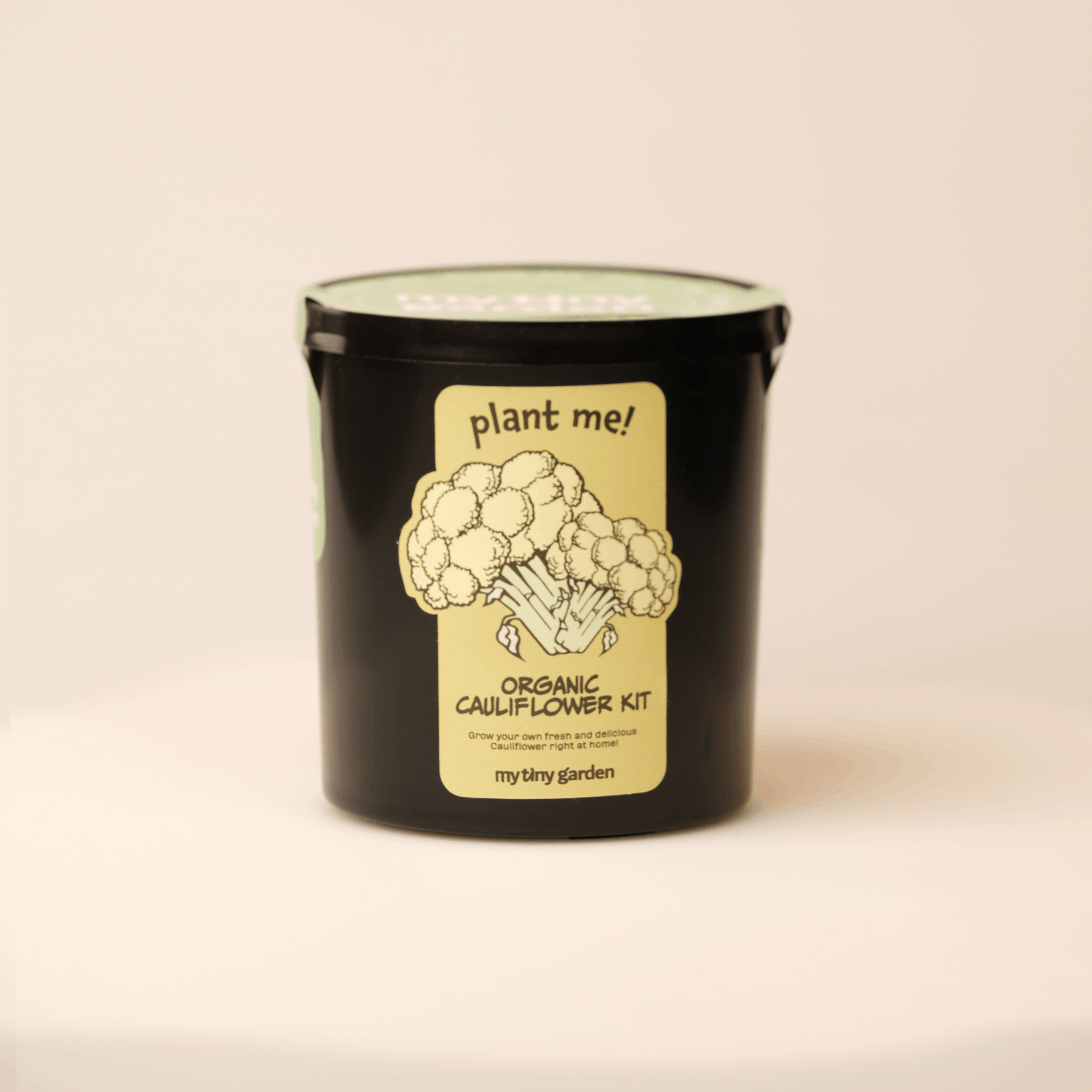 Cauliflower Growing Kit 3