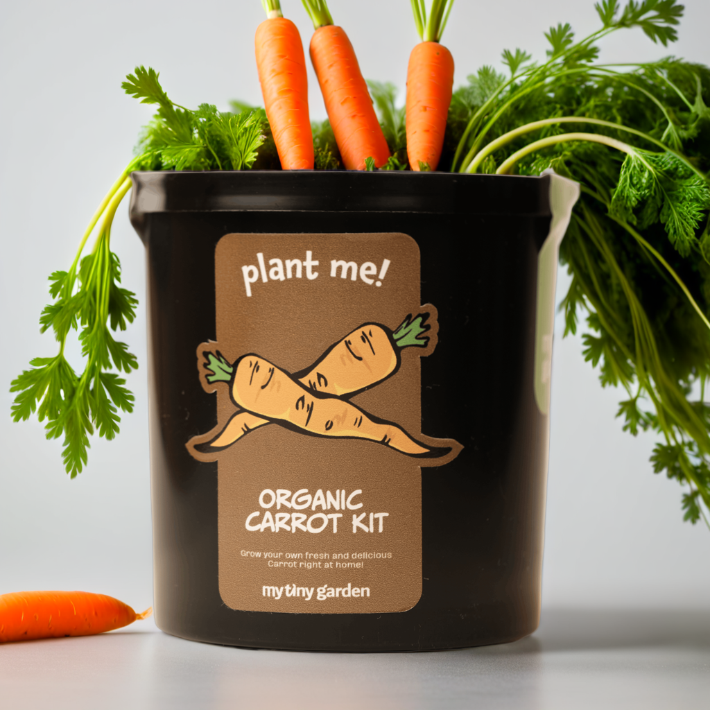 Kit Carotte — Kits de Culture de Légumes